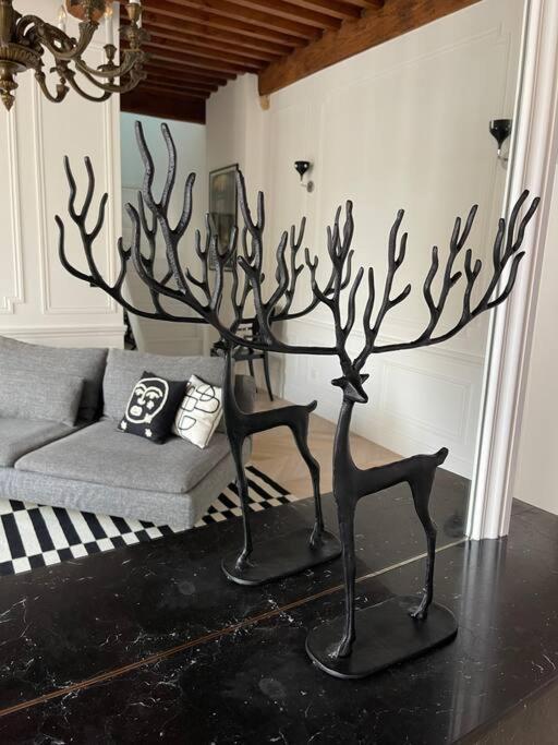 Le Grand Cerf By La Chambre A Cote Metz Luaran gambar